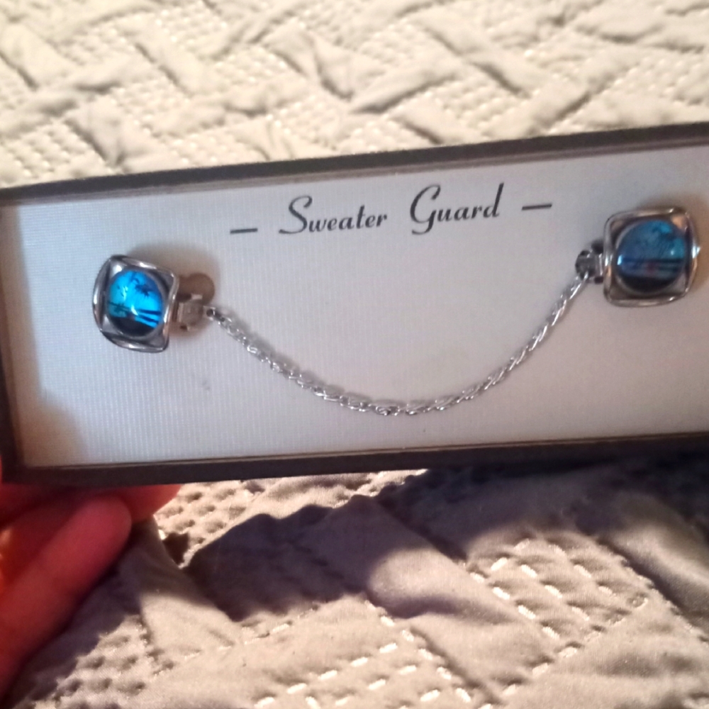 Elegant Vintage Blue Sweater Guard
